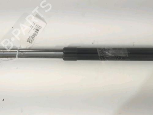 Tailgate lift support NISSAN QASHQAI / QASHQAI +2 I (J10, NJ10, JJ10E) 1.5 dCi | BP26405377C138 