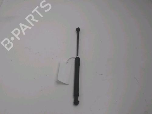 Used Hood lift support RENAULT KANGOO Express (FW0/1_) 1.5 dCi 75 (FW07, FW10, FW04) (75 hp) 28504179