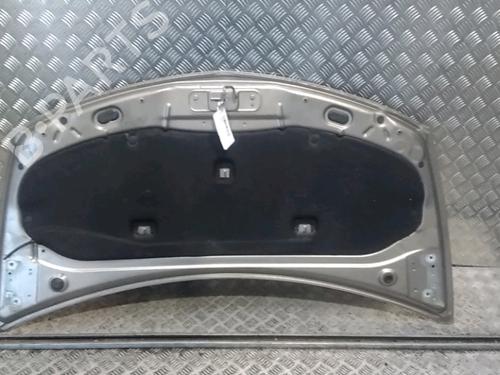 Hood RENAULT CLIO III (BR0/1, CR0/1) 1.5 dCi (C/BR0G, C/BR1G) | BP15842816C1 