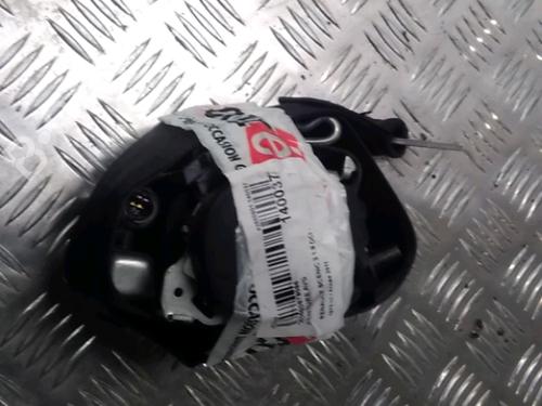 Used Front left belt tensioner RENAULT SCÉNIC III (JZ0/1_) 1.9 dCi (JZ0J, JZ1J, JZ1K, JZ1S) (131 hp) 13080555