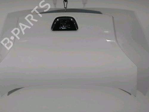 hood-peugeot-bipper-aa_-14-hdi-7901q0-2008-21564095 main image