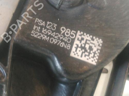 Used Rear left lock CITROËN C3 III Van (SX_, SY_) BlueHDi 100 (102 hp) 28159847