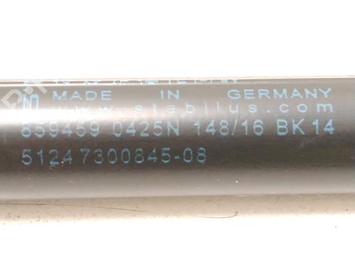 hood-lift-support-mini-mini-f56-2013-30482988 main image