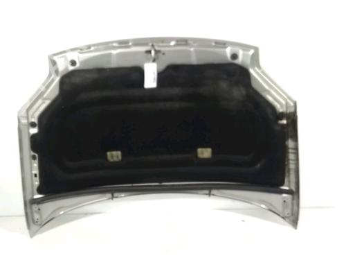 Motorhaube für Motorhaube 20977484 20977484