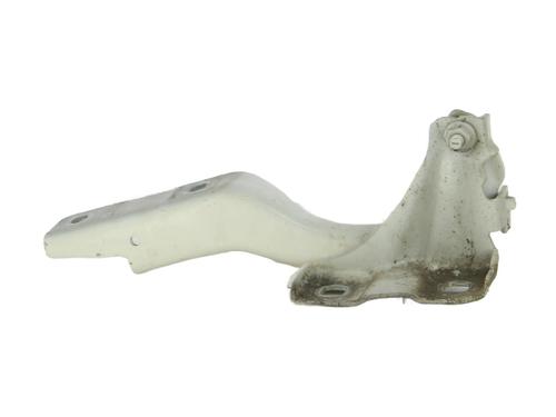 Used Hinge/Door check strap Hinge/Door check strap FIAT 500X (334_) 1.3 (334.AXR11) (150 hp) 33998241 33998241