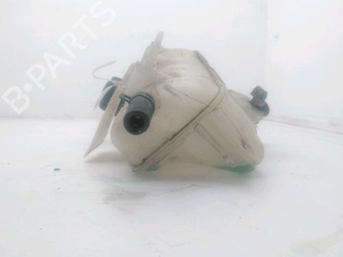 Expansion tank RENAULT KANGOO Express (FW0/1_) 1.5 dCi 90 (FW0G, FW05, FW08, FW11) | BP29494603C120 