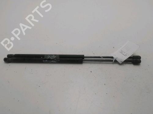 Used Tailgate lift support RENAULT SCÉNIC II (JM0/1_) 1.5 dCi (JM1E, JM16) (106 hp) 22525303