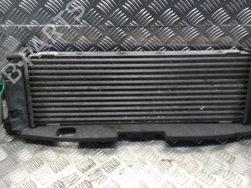 Used Intercooler Intercooler RENAULT TRAFIC II Van (FL) 2.5 dCi 145 (FL0J) (146 hp) 14902098 14902098
