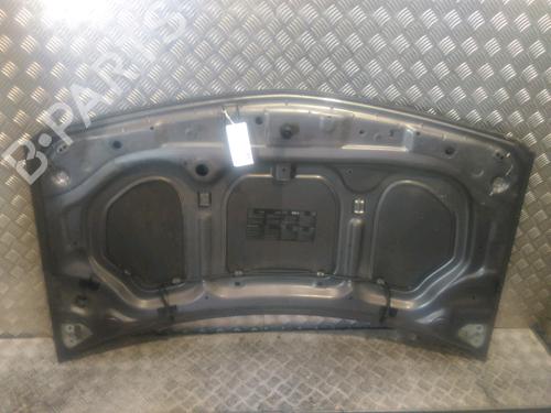 Hood RENAULT MEGANE II (BM0/1_, CM0/1_) 1.6 16V (BM0C, CM0C) | BP17316454C1 