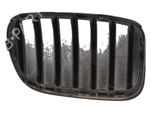 Used Grille Grille BMW X3 (F25) xDrive 20 d (190 hp) 40026992 40026992