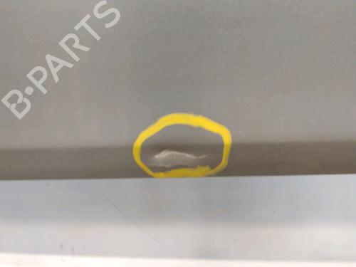 Used Left front door RENAULT CLIO III (BR0/1, CR0/1) 1.5 dCi (BR17, CR17) (86 hp) 29601696