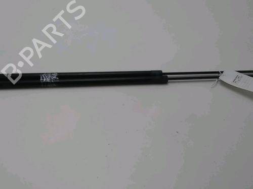 Used Tailgate lift support RENAULT KANGOO Express (FW0/1_) 1.5 dCi 90 (FW0G, FW05, FW08, FW11) (90 hp) 17658032