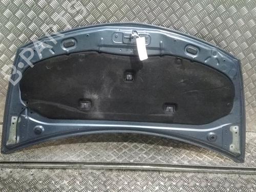 Hood RENAULT CLIO III (BR0/1, CR0/1) 1.5 dCi (C/BR0G, C/BR1G) | BP16559543C1 
