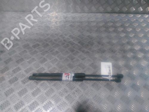 Gassdemper Bakluke RENAULT MEGANE III Hatchback (BZ0/1_, B3_) 1.9 dCi (BZ0N, BZ0J) (131 hp) 15723962