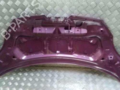 Used Hood PEUGEOT 107 (PM_, PN_) 1.4 HDi (54 hp) 13038620