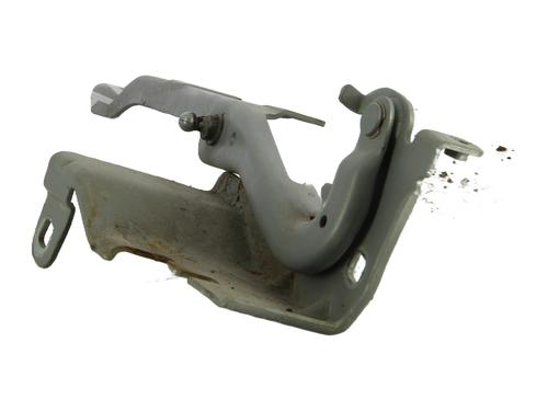 hingedoor-check-strap-renault-latitude-l70_-2010-31911983 main image