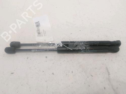 Hood lift support LAND ROVER RANGE ROVER EVOQUE (L538) 2.2 D 4x4 | BP28206441C139 