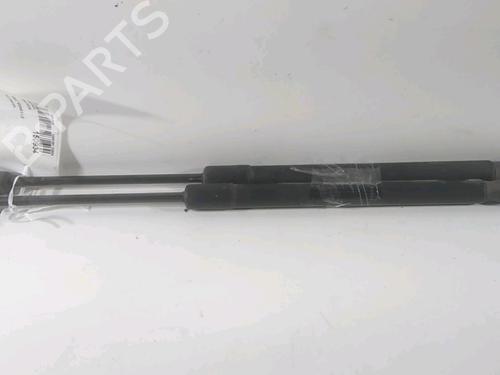 Used Tailgate lift support RENAULT MEGANE III Hatchback (BZ0/1_, B3_) 1.2 TCe (BZ16, BZ28) (132 hp) 23145280
