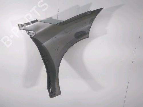 Left front fenders RENAULT MEGANE III Hatchback (BZ0/1_, B3_) 1.5 dCi (BZ09, BZ0D, BZ1W, BZ29, BZ14) | BP25859745C41 