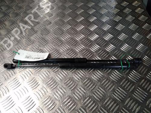 Used Tailgate lift support RENAULT MEGANE III Hatchback (BZ0/1_, B3_) 1.5 dCi (86 hp) 14902528