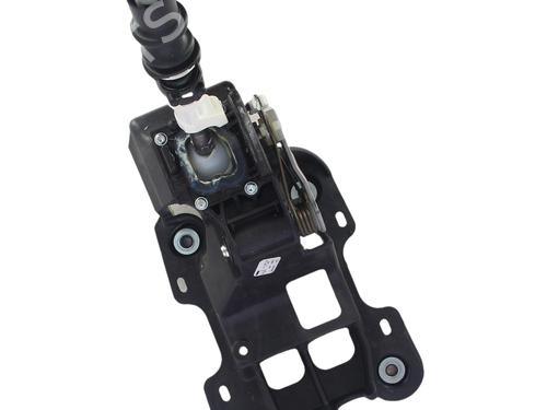Gearstang Gearstang 38428809 38428809