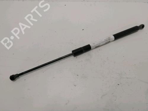 Gassdemper Bakluke RENAULT SCÉNIC III (JZ0/1_) 1.5 dCi (110 hp) 29644315