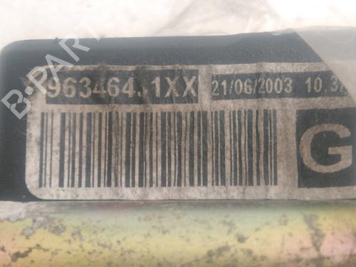 Used Front left belt tensioner PEUGEOT 307 Break (3E) 2.0 HDI 90 (90 hp) 25436496