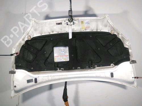 Hood FIAT DOBLO Box Body/MPV (223_) 1.9 JTD | BP19578858C1 