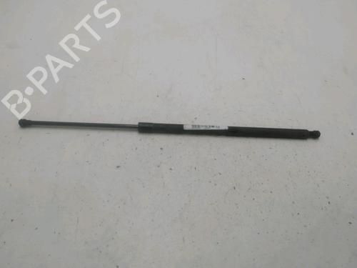 Used Tailgate lift support RENAULT GRAND SCÉNIC III (JZ0/1_) 1.5 dCi (JZ09, JZ0D, JZ10, JZ14, JZ1G, JZ29, JZ2C) (110 hp) 29389377