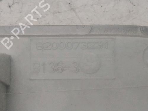 Interior roof light RENAULT CLIO III Grandtour (KR0/1_) 1.5 dCi (KR0G) | BP24919636I8