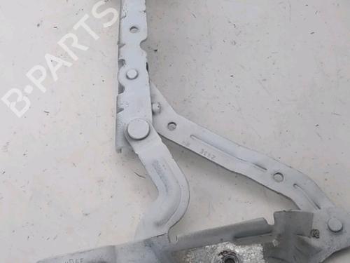 Bisagra/Limitador de puerta Bisagra/Limitador de puerta FORD TRANSIT CONNECT V408 Box Body/MPV 1.5 TDCi (101 hp) 36959222 36959222
