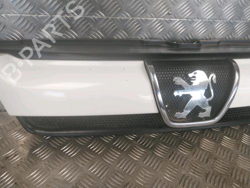 Grille PEUGEOT BOXER Van (244) 2.0 HDi | BP16742283C40