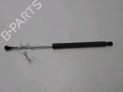 Used Tailgate lift support RENAULT CLIO III (BR0/1, CR0/1) 1.5 dCi (BR0H, CR0H, CR1S, BR1S) (106 hp) 19498652
