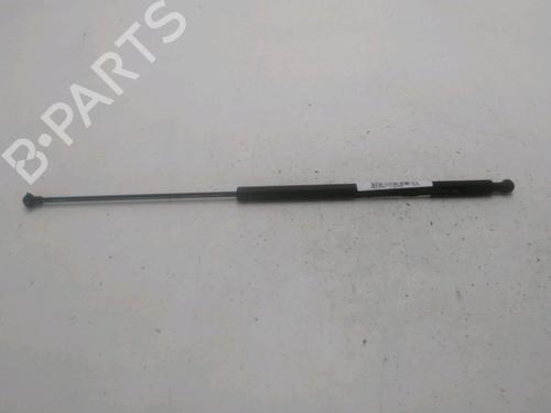 Tailgate lift support CITROËN XSARA PICASSO (N68) 1.6 HDi | BP28970254C138 