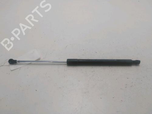 Used Tailgate lift support RENAULT CLIO III Hatchback Van (SB_, SR_) 1.5 dCi (68 hp) 23899133