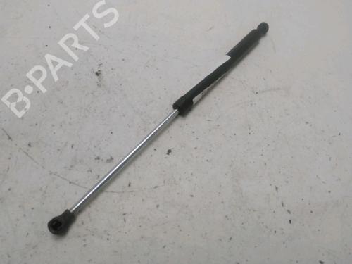 Gassdemper Bakluke RENAULT CLIO II (BB_, CB_) 1.4 16V (B/CB0P, BB13) (98 hp) 29622021