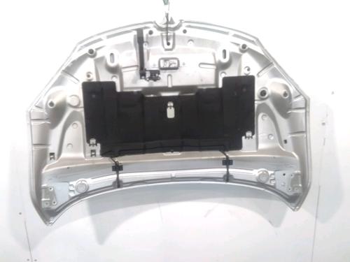 Used Hood RENAULT MEGANE III Hatchback (BZ0/1_, B3_) 1.9 dCi (BZ0N, BZ0J) (131 hp) 28572697