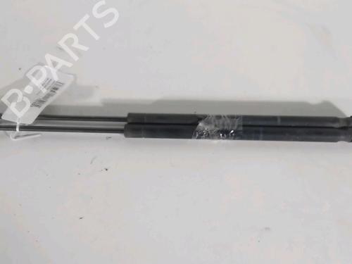 Used Tailgate lift support RENAULT SCÉNIC II (JM0/1_) 1.5 dCi (JM1E, JM16) (106 hp) 22403560