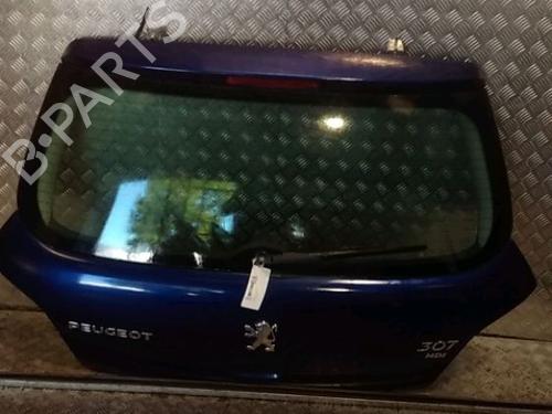 Tailgate PEUGEOT 307 (3A/C) 2.0 HDi 110 | BP15625645C6