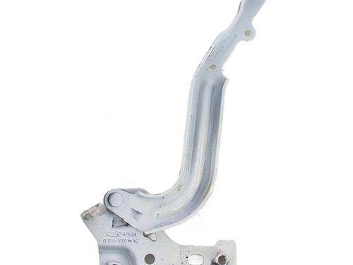 hingedoor-check-strap-ford-ka-iii-uk-fk-2014-30768112 main image