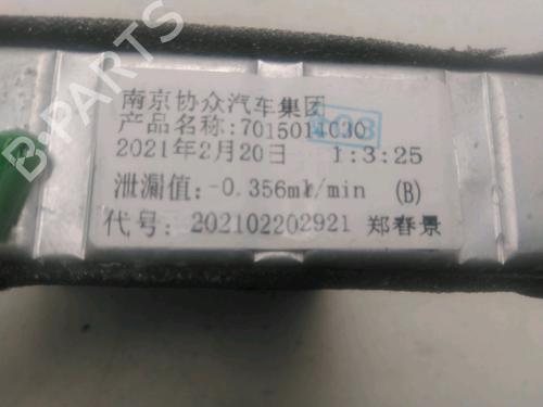 Used Heater matrix PEUGEOT 2008 II (UD_, US_, UY_, UJ_, UR_, UC_) 1.5 BlueHDI 110 (UDYHSK) (110 hp) 26280938