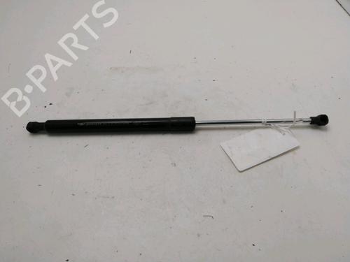 tailgate-lift-support-renault-clio-iii-br01-cr01-2005-2006-2007-2008-2009-2010-2011-2012-2013-2014-30825389 main image