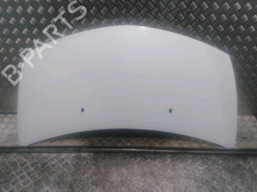 Used Hood RENAULT CLIO III (BR0/1, CR0/1) 1.5 dCi (88 hp) 16742291