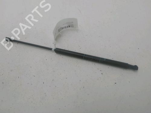 Used Tailgate lift support Tailgate lift support ABARTH 500 / 595 / 695 1.4 (312.AXF11, 312.AXF1A) (180 hp) 29578112 29578112