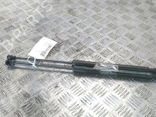 Used Tailgate lift support RENAULT ZOE (BFM_) ZOE (BFMC, BFMD) (136 hp) 16556567