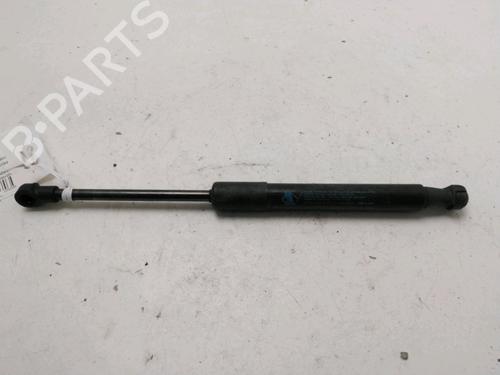 hood-lift-support-peugeot-rcz-2010-2011-2012-2013-2014-2015-30893140 main image