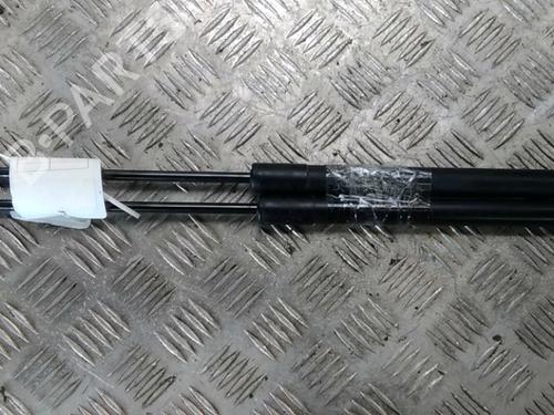 Tailgate lift support DACIA SANDERO II 1.2 | BP17068227C138 