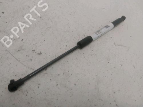 Gasdæmper bagklap RENAULT TWINGO II (CN0_) 1.5 dCi (CN0E) (64 hp) 29622025