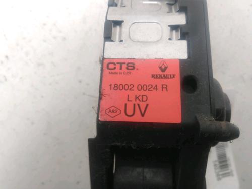 Pedal RENAULT SCÉNIC III (JZ0/1_) 1.2 TCe (116 hp) 24118103