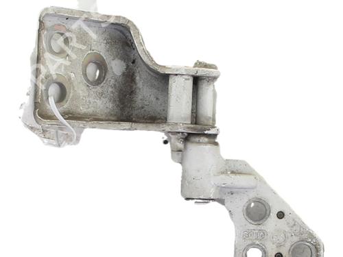 hingedoor-check-strap-citroen-berlingo-box-bodympv-b9-2008-40553991 main image